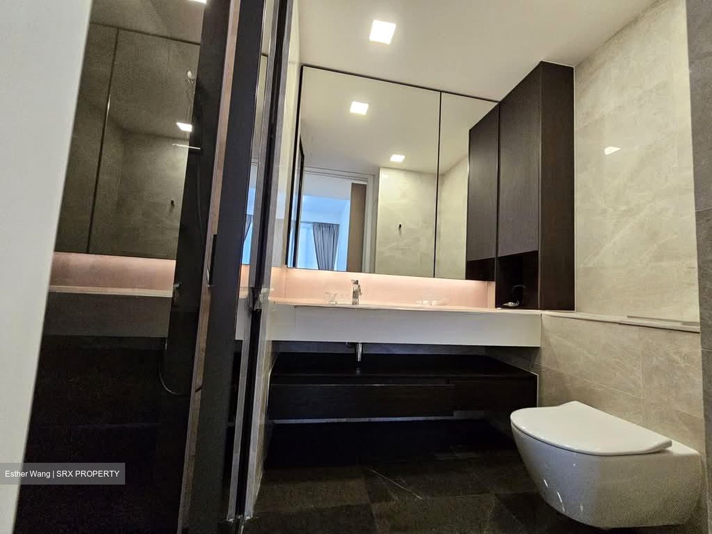 Amber Park (D15), Condominium #563667651